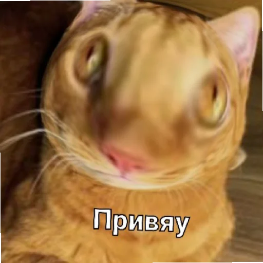 Стикер Симбочка Пимпочка