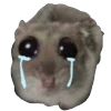 Эмодзи Грустный хомяк