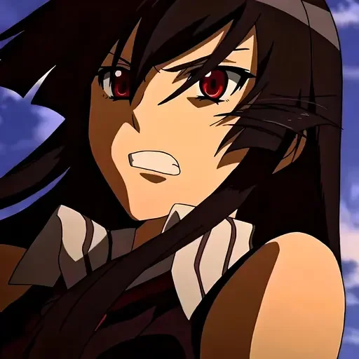 Стикер Убийца Акаме