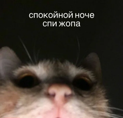 Стикер My lovely стайл