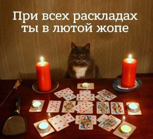 Стикер My lovely стайл