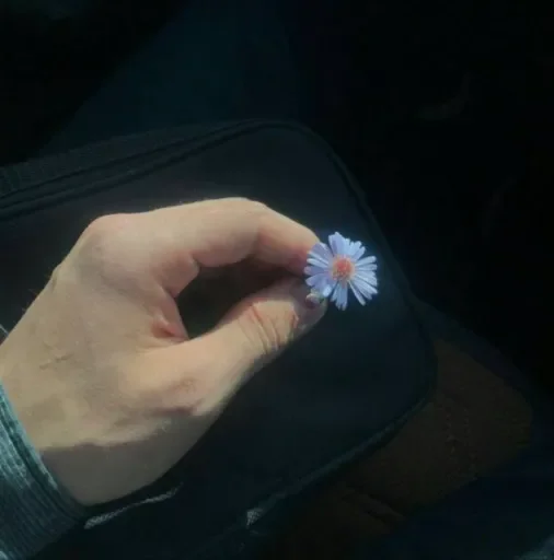 Стикер Sobrujamiyll