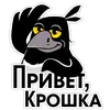 Стикер Сорока Глафира