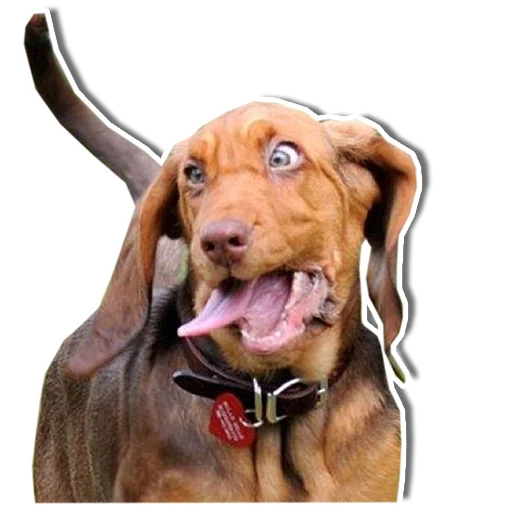 Стикер Упоротый пес