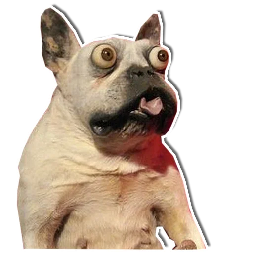 Стикер Упоротый пес