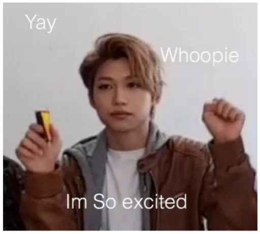 Стикер Stray Kids