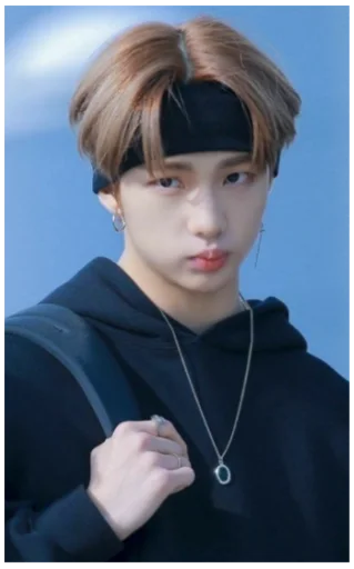 Стикер Stray Kids