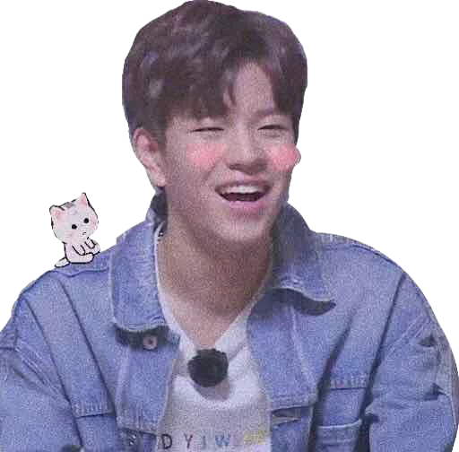 Стикер straykids©char