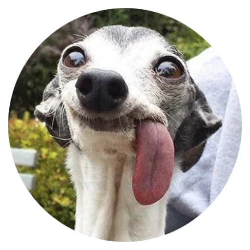 😜