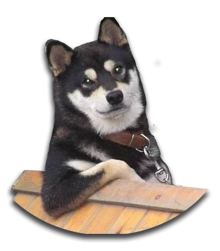 Стикер Stupud dog