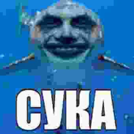 🦈