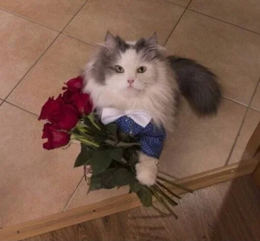 Стикер Sukruma