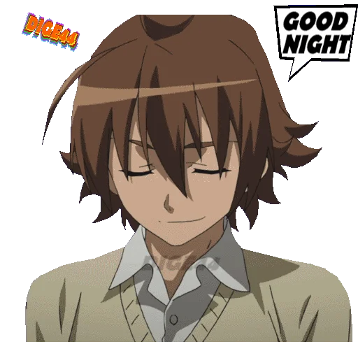 Стикер TATSUMI AKAME GA KILL