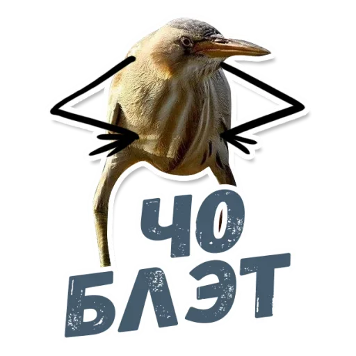 Стикер ТАК БЛЭТ