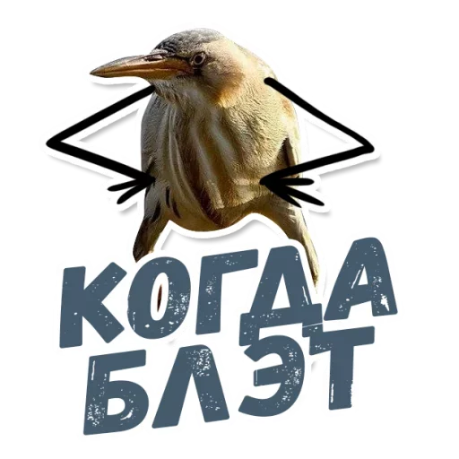 Стикер ТАК БЛЭТ