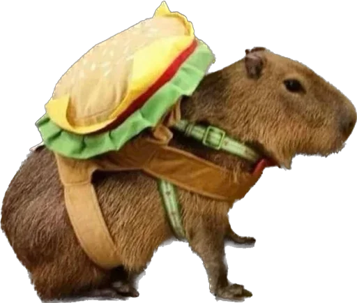 Стикер Capybara