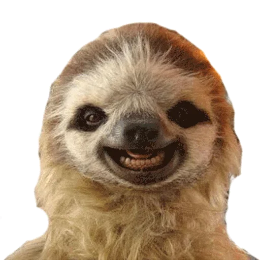 Стикер Taxidermy