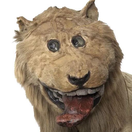 Стикер Texiderpy!