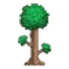 🌳