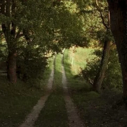 Стикер А что делать геям?