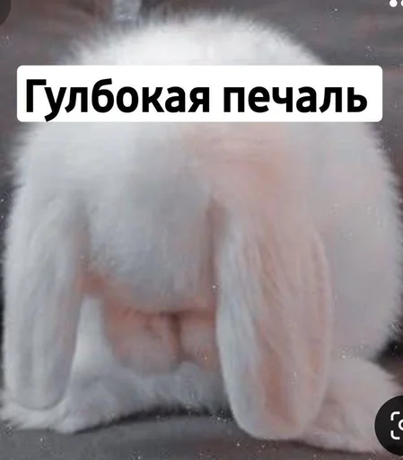 Стикер Toed Hylic Wiry