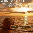 Стикер TomiokO4ka