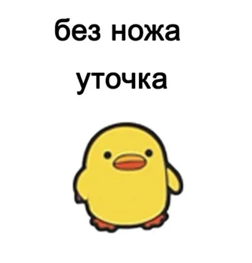 Стикер уточки