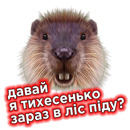 Стикер Телебачення Торонто