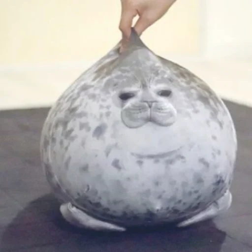 Стикер ТЮЛЕНИ !!