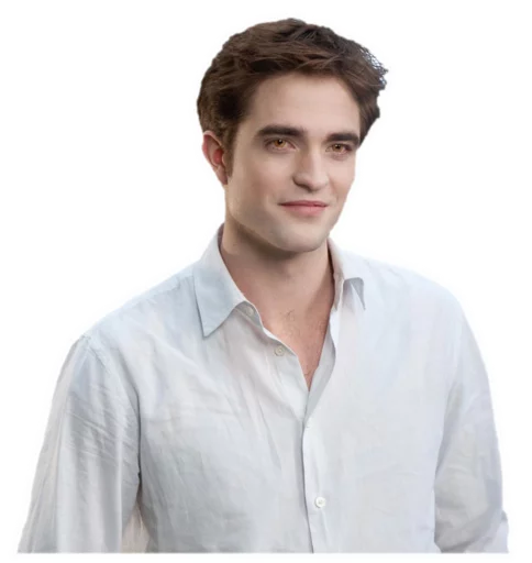 Стикер The Twilight Saga