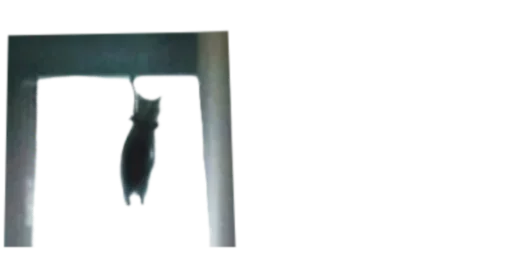 Стикер Мікро-Кішки