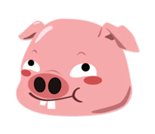 🐷