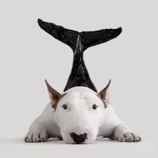 Стикер Uprt Animals