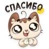 Стикер Котик
