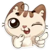 Стикер Котик
