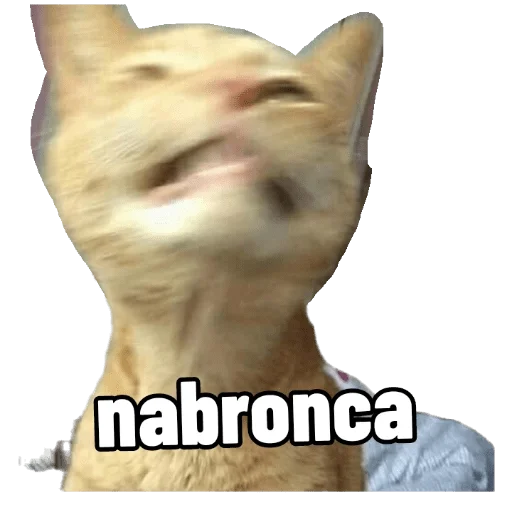 Стикер VengoDeWasap