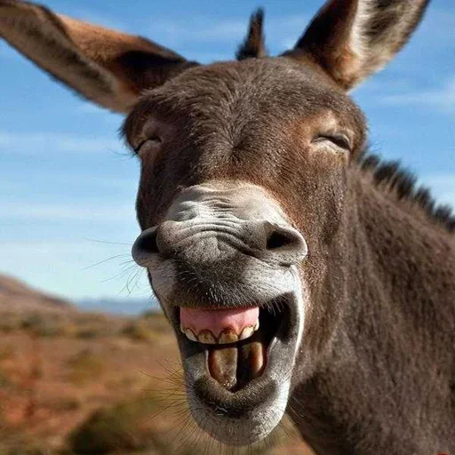 Стикер Very strange animals