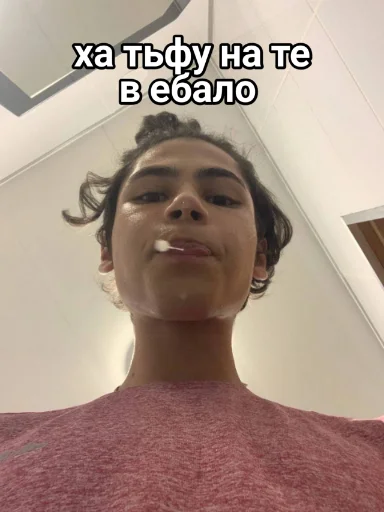 Стикер Vini и друзья