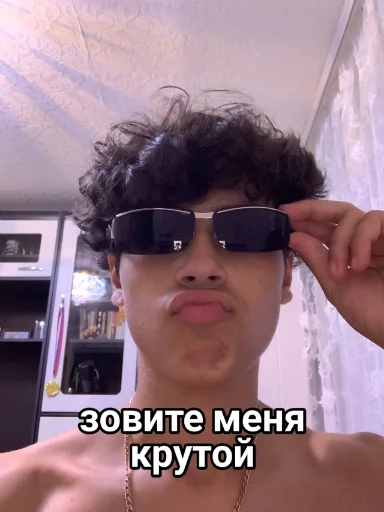 Стикер Vini и друзья