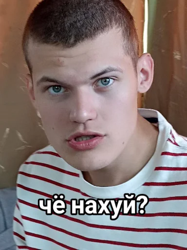 Стикер Vini и друзья