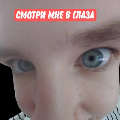 Стикер VolgaШоу