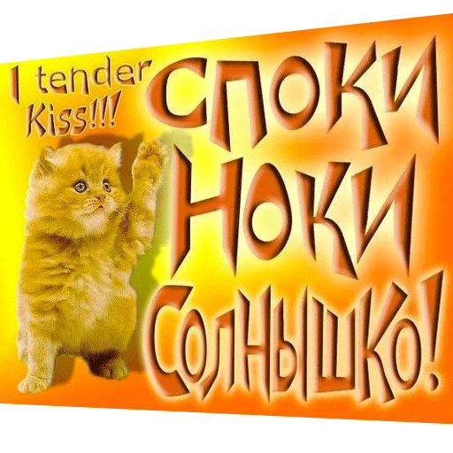 Стикер ВсратыеОдноклассники