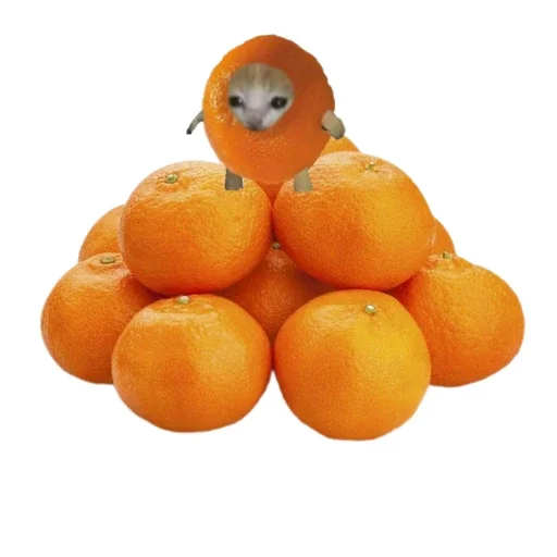 Стикер Всратыш и Новый Год