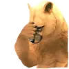 Стикер WildCraft