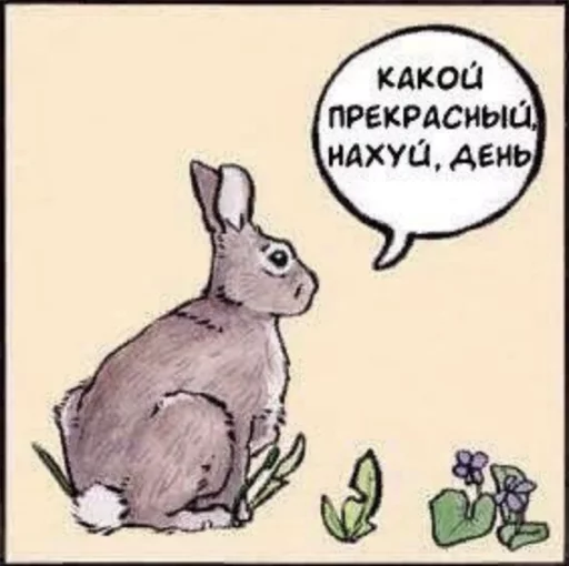 🐇