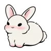 🐰