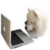 Эмодзи White Dog Emoji