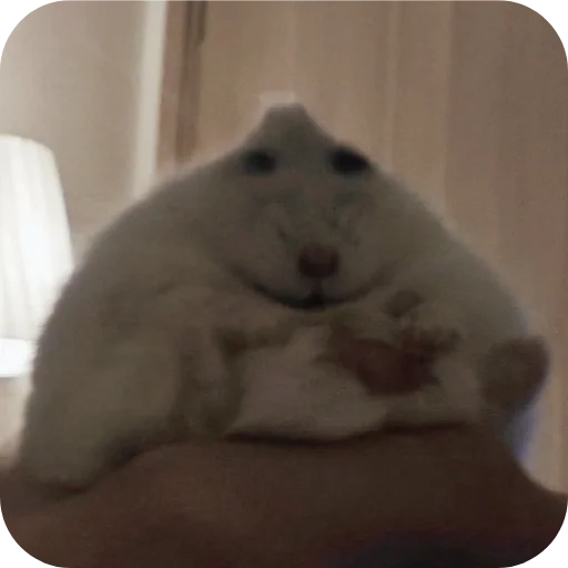 Стикер Хомячки