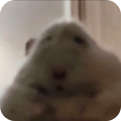 Стикер Хомячки