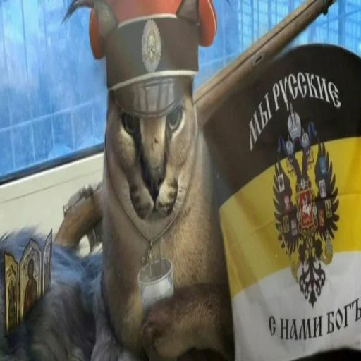 🇷🇺